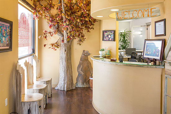 Moose Chair - Pediatric Dentist and Orthodontist in Yucaipa, Beaumont and Redlands, CA